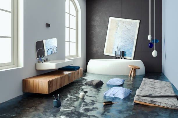 Best Water damage mitigation services  in Roselle, IL