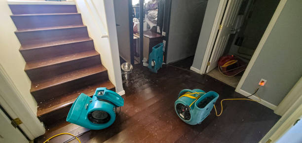 Best Flood damage cleanup  in Roselle, IL