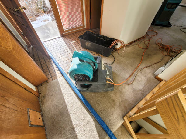 Best Water damage cleanup near me  in Roselle, IL