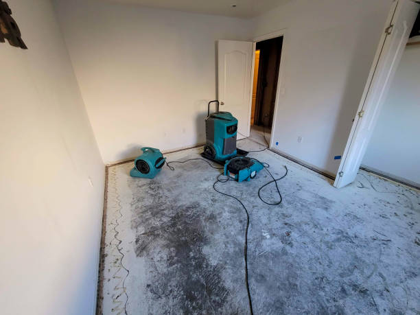 Best Flooded house restoration  in Roselle, IL
