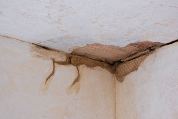 Best Fire Damage Restoration  in Roselle, IL