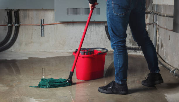 Best Flood restoration services  in Roselle, IL