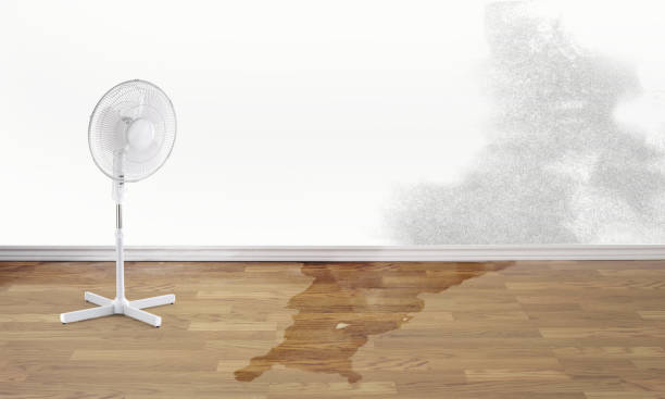 Best Ceiling water damage repair  in Roselle, IL