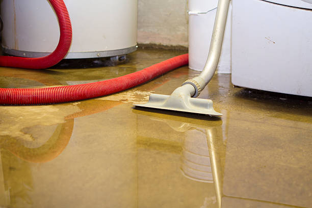 Sewage cleanup and water damage restoration in Roselle, IL