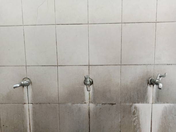 Best Ceiling water damage repair  in Roselle, IL