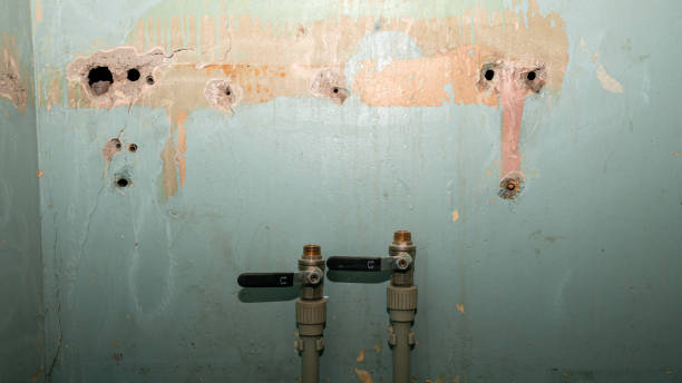 Best Residential water damage restoration  in Roselle, IL