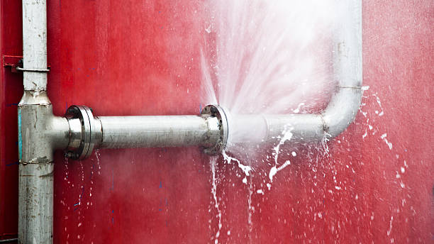  Roselle, IL Water damage restoration Pros